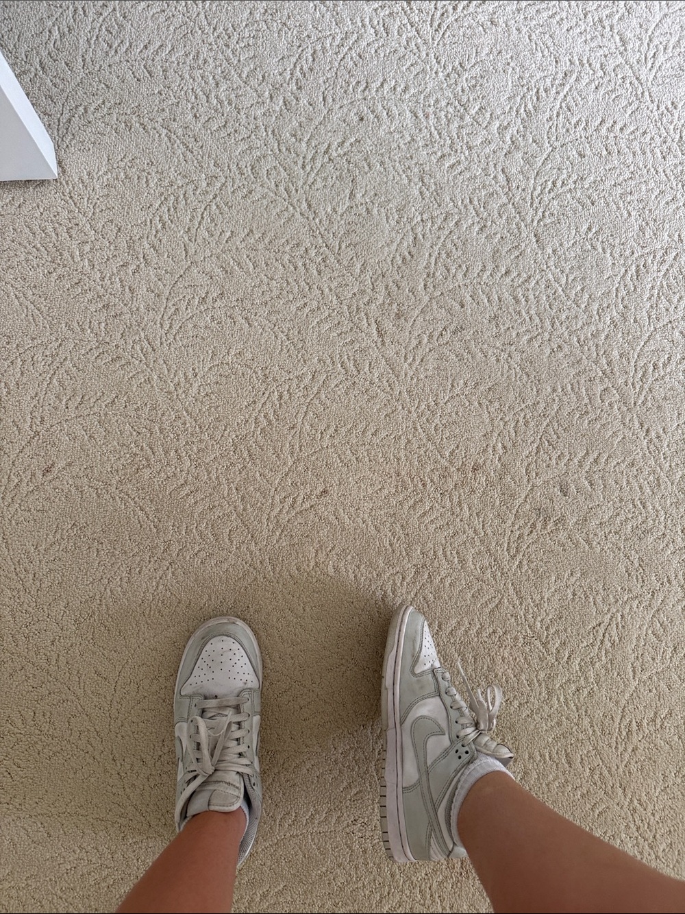 Nike Women’s Low-Top Sneakers in Light Gray
